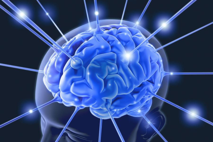 Đi ngủ đúng giờ giúp phục hồi não bộ