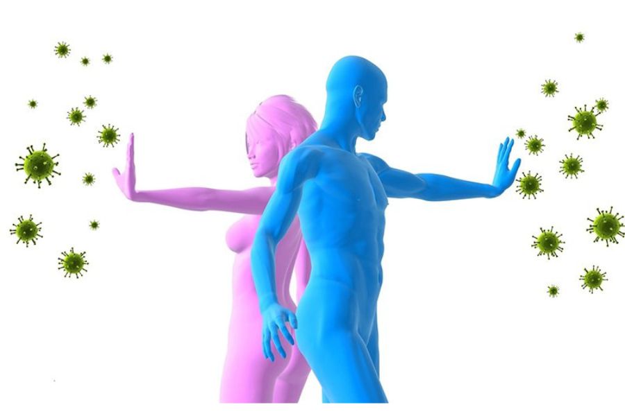 Hệ miễn dịch được cải thiện