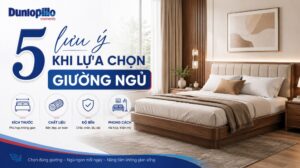 5 lưu ý khi lựa chọn giường ngủ