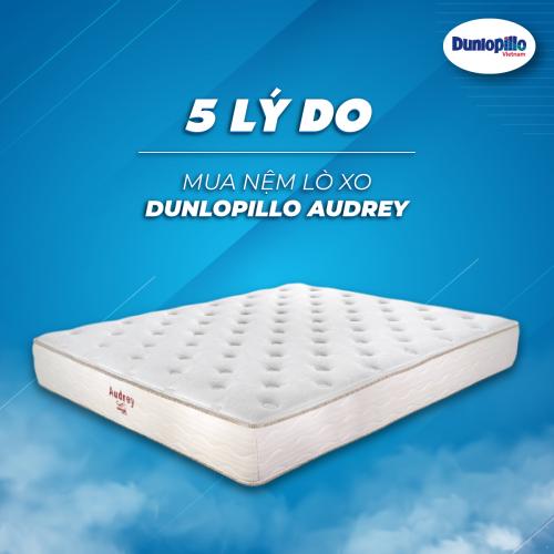 5 lý do nên mua nệm lò xo Dunlopillo Audrey 12 5 lý do nên mua nệm lò xo Dunlopillo Audrey
