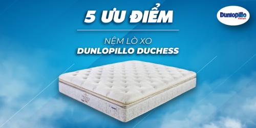 5 ưu điểm nệm lò xo Dunlopillo Duchess 13 5 Ưu Điểm Nệm Lò Xo Dunlopillo Duchess