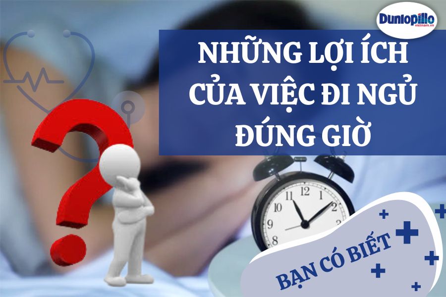 Những lợi ích của việc đi ngủ đúng giờ 5 Những lợi ích của việc đi ngủ đúng giờ