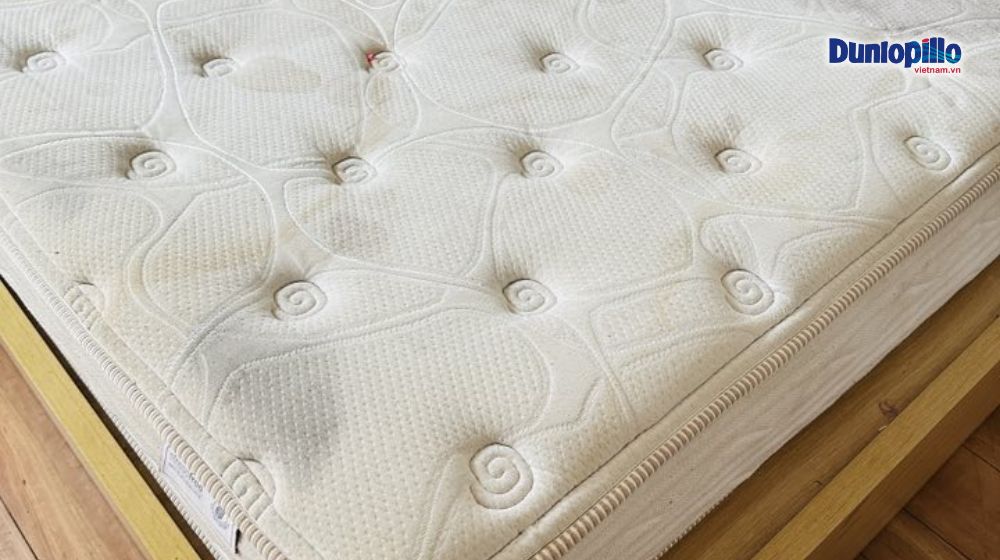 Bí kíp vệ sinh nệm lò xo Dunlopillo 1 Vệ sinh nệm lò xo Dunlopillo để tạo môi trường ngủ sạch sẽ