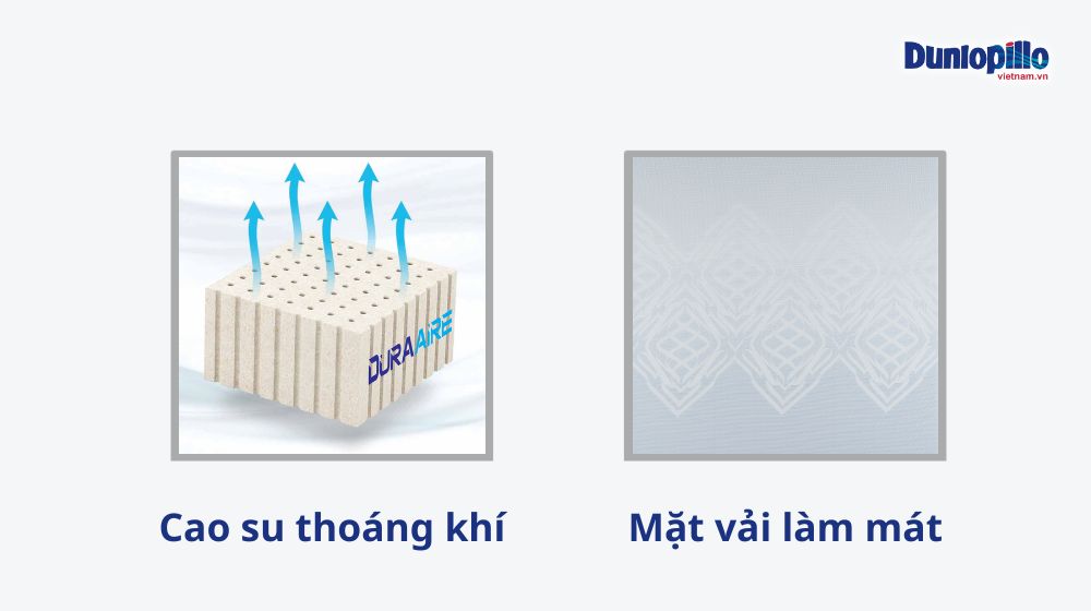 Nệm cao su Dunlopillo - Giải pháp tuyệt vời cho giấc ngủ ngon ngày hè 2 Thiết kế nệm cao su Dunlopillo có khả năng làm mát