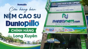 Cửa hàng bán nệm cao su dunlopillo chính hãng tại long xuyên