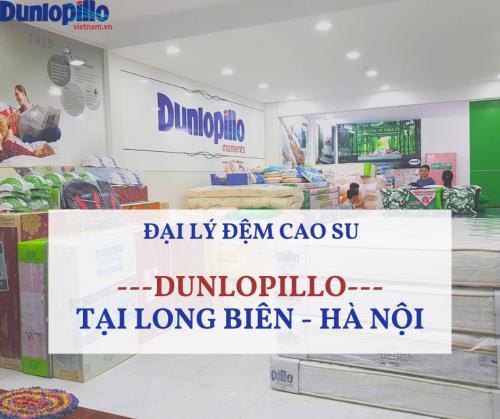 Đại Lý Đệm Cao Su Dunlopillo Tại Long Biên – Hà Nội 12 Đại Lý Đệm Cao Su Dunlopillo Tại Long Biên – Hà Nội