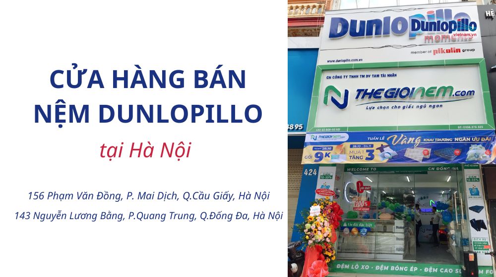 Địa chỉ mua đệm Dunlopillo chính hãng ở Hà Nội 21 dia chi mua dem dunlopillo chinh hang o ha noi