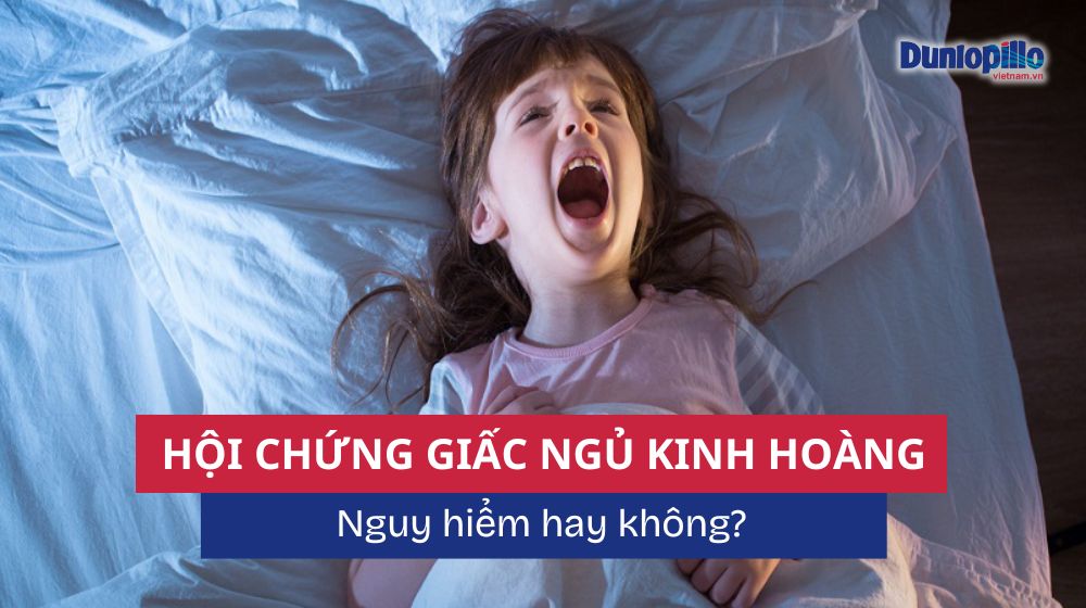Hội chứng giấc ngủ kinh hoàng: Nguy hiểm hay không? 7 Hội chứng giấc ngủ kinh hoàng nguy hiểm hay không