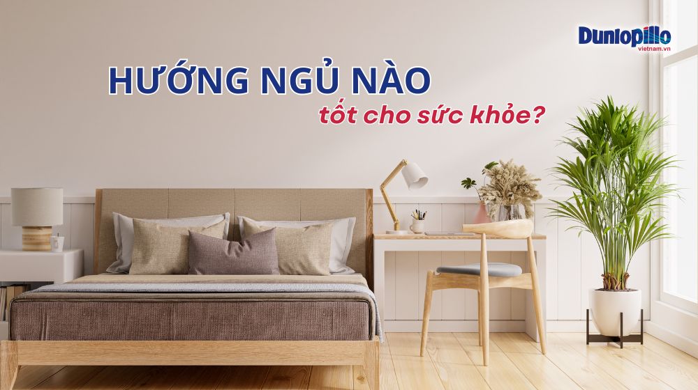 Hướng ngủ nào tốt cho sức khỏe 18 Hướng ngủ nào tốt cho sức khỏe