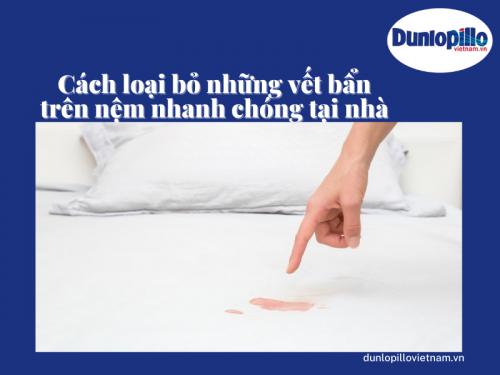 Làm thế nào để làm sạch nệm của bạn - Loại bỏ những vết bẩn! 13 Làm thế nào để làm sạch nệm của bạn - Loại bỏ những vết bẩn!