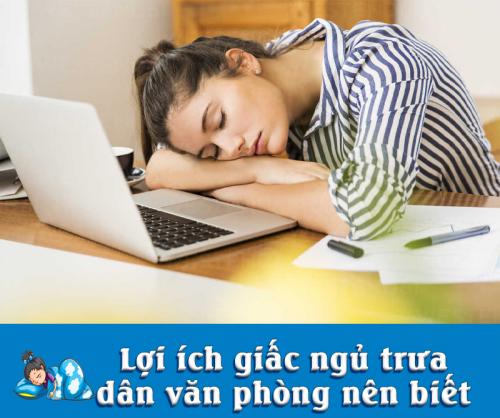 Lợi Ích Giấc Ngủ Trưa Mà Dân Văn Phòng Nên Biết 2 Lợi Ích Giấc Ngủ Trưa Mà Dân Văn Phòng Nên Biết