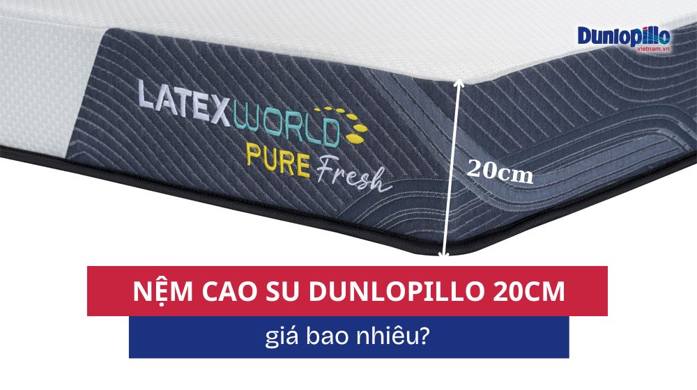 Nệm cao su Dunlopillo 20cm giá bao nhiêu? 23 Nệm cao su Dunlopillo 20cm giá bao nhiêu