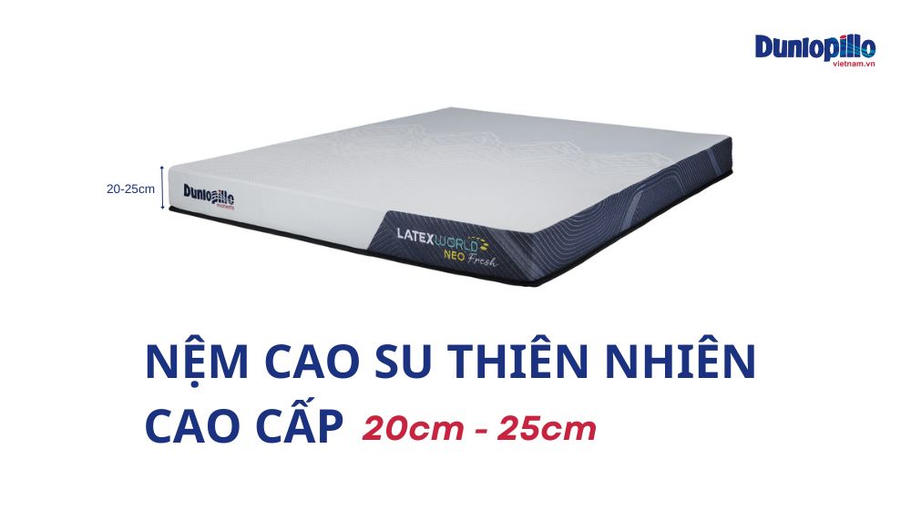 Nệm cao su thiên nhiên cao cấp 20cm - 25cm 9 Nệm cao su thiên nhiên cao cấp 20cm - 25cm