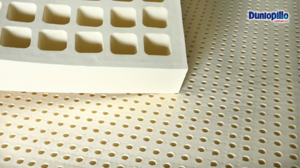 Nệm cao su thiên nhiên được sản xuất từ nguyên liệu từ tự nhiên