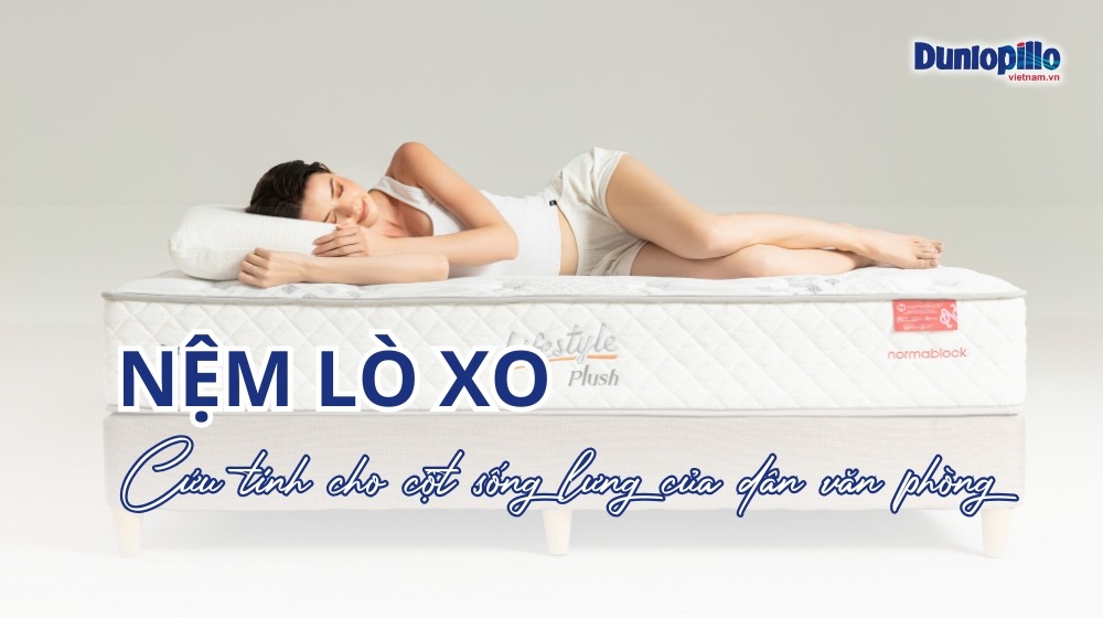 Nệm lò xo - Cứu tinh cho cột sống lưng của dân văn phòng 9 Nệm lò xo - Cứu tinh cho cột sống lưng của dân văn phòng