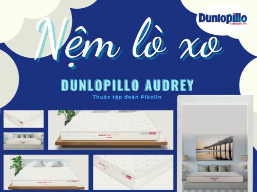 Nệm lò xo Dunlopillo Audrey châu Âu. Nệm lò xo dùng lâu ngày có bị kêu? 27 Nệm lò xo Dunlopillo Audrey châu Âu. Nệm lò xo dùng lâu ngày có bị kêu?