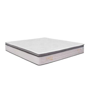 nem lo xo dunlopillo evita 3 2