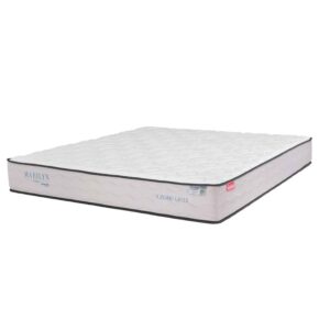Nệm Lò Xo Dunlopillo Marilyn - 25cm 6 nem lo xo dunlopillo marily 1