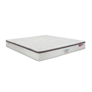 nem lo xo dunlopillo spine o master 2 1