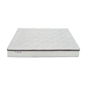 nem lo xo dunlopillo spine o master 3