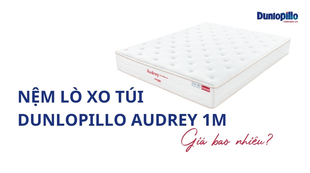 Nệm lò xo túi Dunlopillo Audrey 1m giá bao nhiêu? 21 Nệm lò xo túi Dunlopillo Audrey 1m giá bao nhiêu