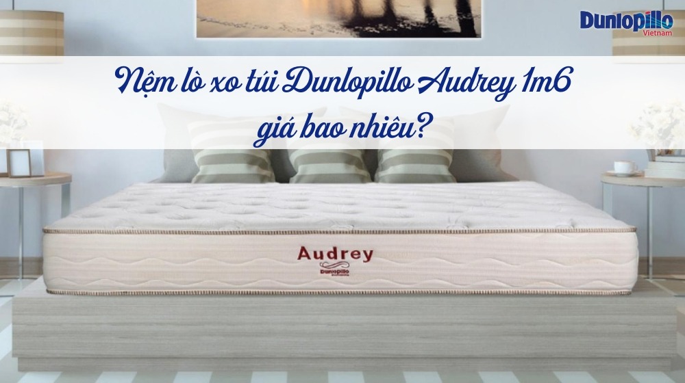 Nệm lò xo túi Dunlopillo Audrey 1m6 giá bao nhiêu? 12 nem lo xo tui dunlopillo audrey 1m6 gia bao nhieu 1
