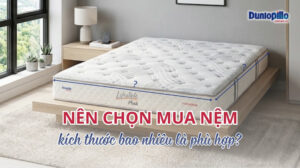 Nên chọn mua nệm kích thước bao nhiêu