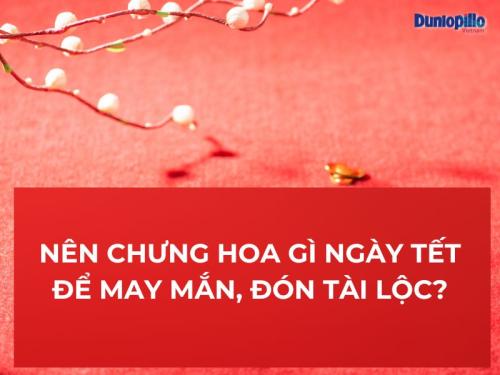 Nên chưng hoa gì ngày Tết để may mắn, đón tài lộc? 27 Nên chưng hoa gì ngày Tết để may mắn, đón tài lộc?