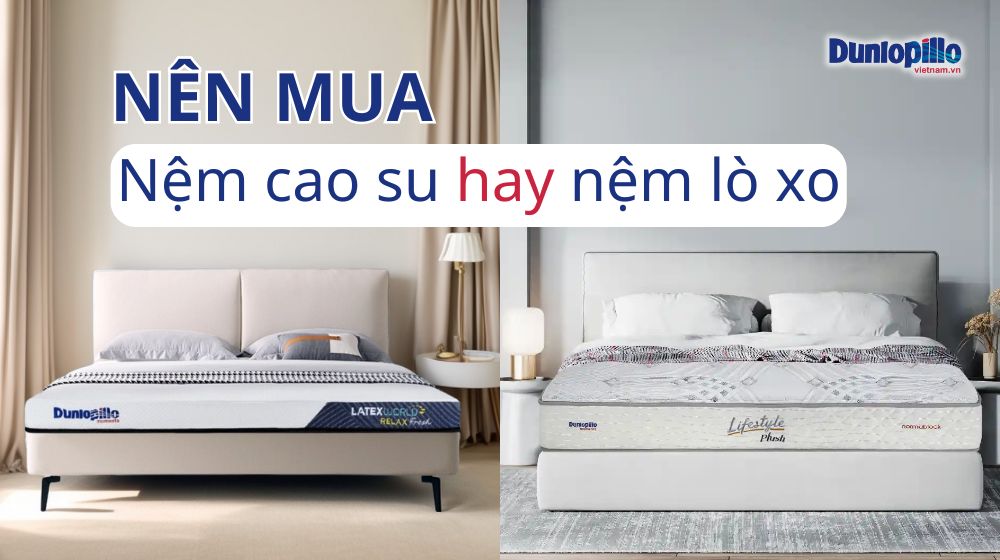 Nên mua nệm cao su hay nệm lò xo của Dunlopillo? 17 Nên mua nệm cao su hay nệm lò xo Dunlopillo