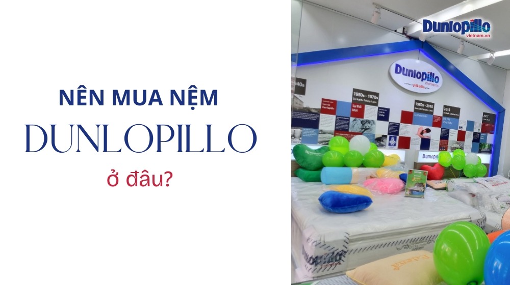 Nên mua nệm Dunlopillo ở đâu? 43 Nên mua nệm Dunlopillo ở đâu