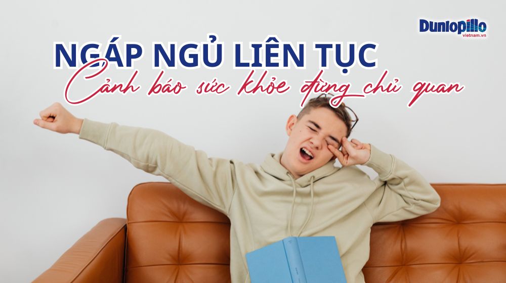 Ngáp ngủ liên tục - Cảnh báo sức khỏe đừng chủ quan 22 ngap ngu lien tuc canh bao suc khoe dung chu quan