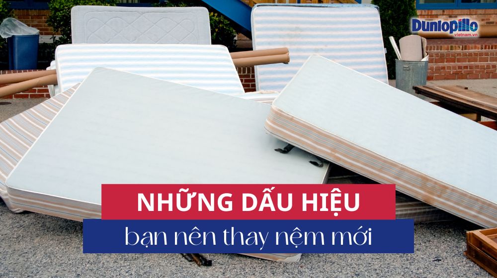 Những dấu hiệu bạn nên thay ngay chiếc nệm mới 6 Những dấu hiệu bạn nên thay nệm mới