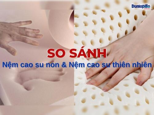 So sánh nệm cao su non với nệm cao su thiên nhiên 14 So sánh nệm cao su non với nệm cao su thiên nhiên