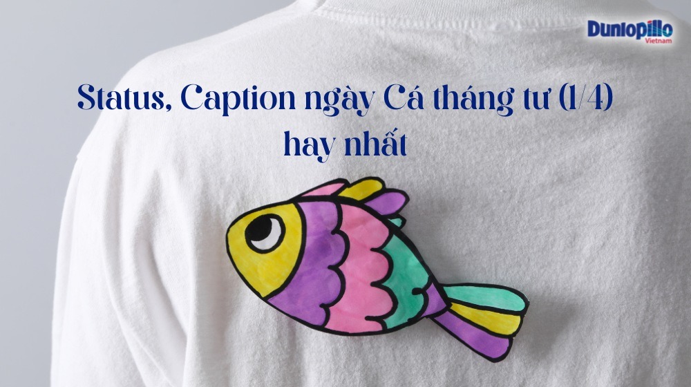 Status, Caption ngày Cá tháng tư 1/4 hay, ý nghĩa, hài hước nhất 1 Status ngày 1/4 Cá tháng tư hay nhất