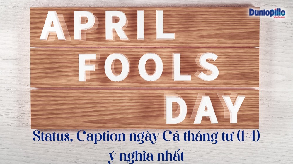 Status, Caption ngày Cá tháng tư 1/4 hay, ý nghĩa, hài hước nhất 2 Status ngày Cá tháng tư 1/4 ý nghĩa nhất