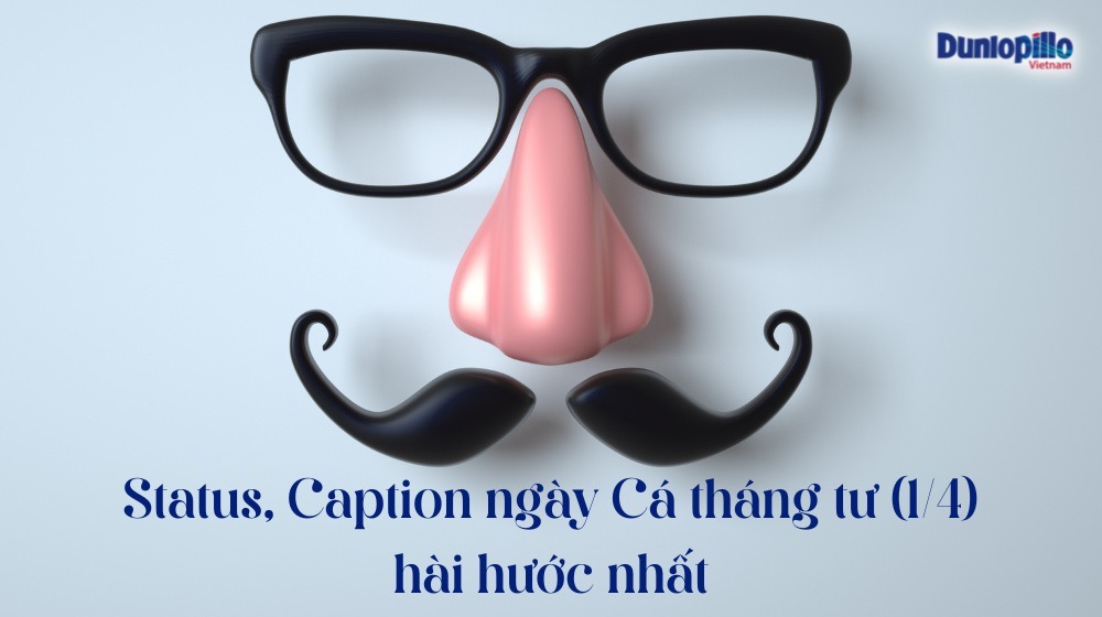 Status, Caption ngày Cá tháng tư 1/4 hay, ý nghĩa, hài hước nhất 3 Status ngày Cá tháng tư 1/4 hài hước nhất