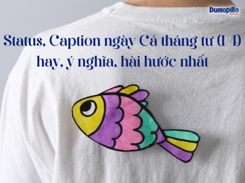 Status, Caption ngày Cá tháng tư 1/4 hay, ý nghĩa, hài hước nhất 16 Status, Caption ngày Cá tháng tư 1/4 hay, ý nghĩa, hài hước nhất