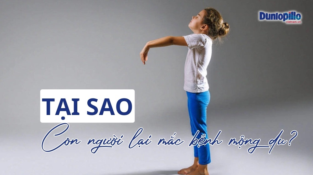 Tại sao con người lại mắc phải bệnh mộng du? 12 Tại sao con người lại mắc bệnh mộng du