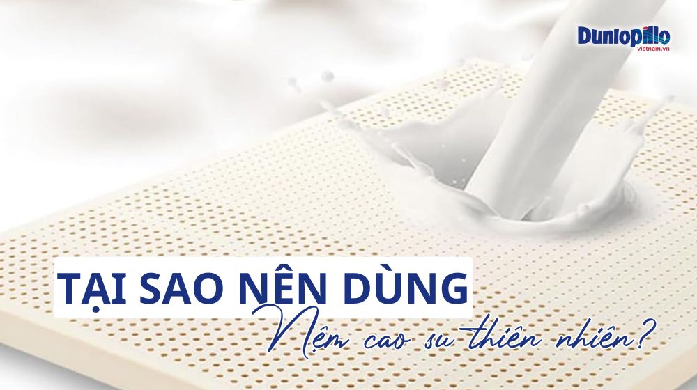 Tại sao nên dùng nệm cao su thiên nhiên? 13 Tại sao nên dùng nệm cao su thiên nhiên?