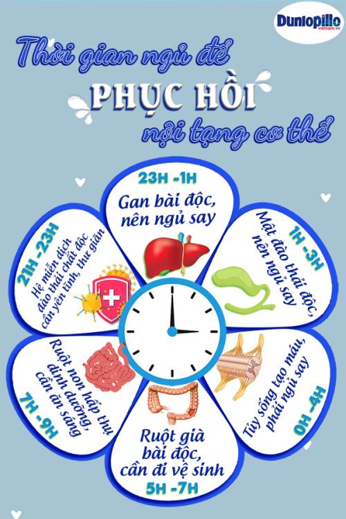 Thời gian hoạt động của cơ quan nội tạng khi ngủ 33 Thời Gian Hoạt Động Của Cơ Quan Nội Tạng Khi Ngủ