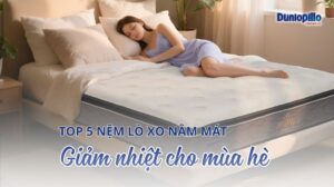 Top nệm lò xo nằm mát