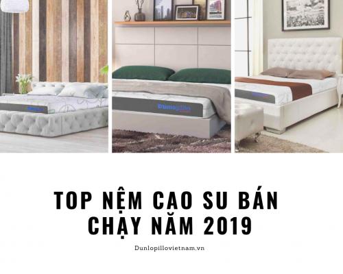 TOP Nệm Cao Su Dunlopillo Bán Chạy 2019 27 TOP Nệm Cao Su Dunlopillo Bán Chạy 2019