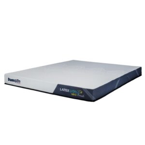 nem cao su dunlopillo latex world neo fresh 2