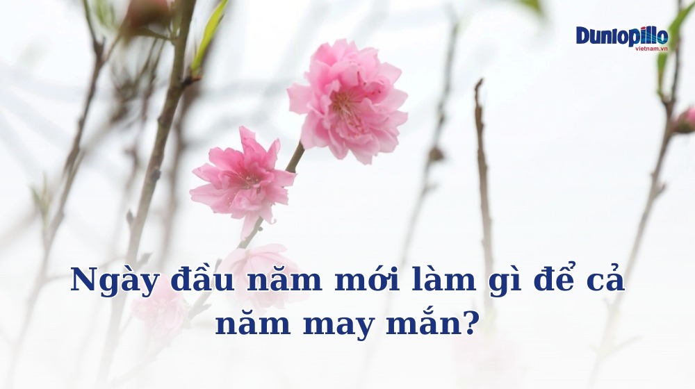 Ngày đầu năm mới làm gì để cả năm may mắn? 7 Ngày đầu năm mới làm gì để cả năm may mắn?