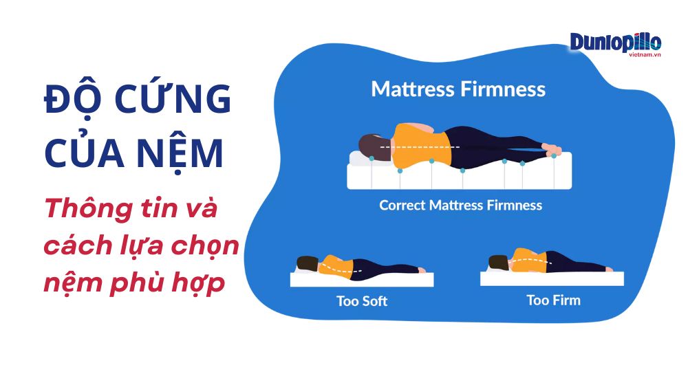Độ cứng của nệm: Thông tin và cách lựa chọn nệm phù hợp 27 do cung cua nem thong tin va cach lua chon nem phu hop
