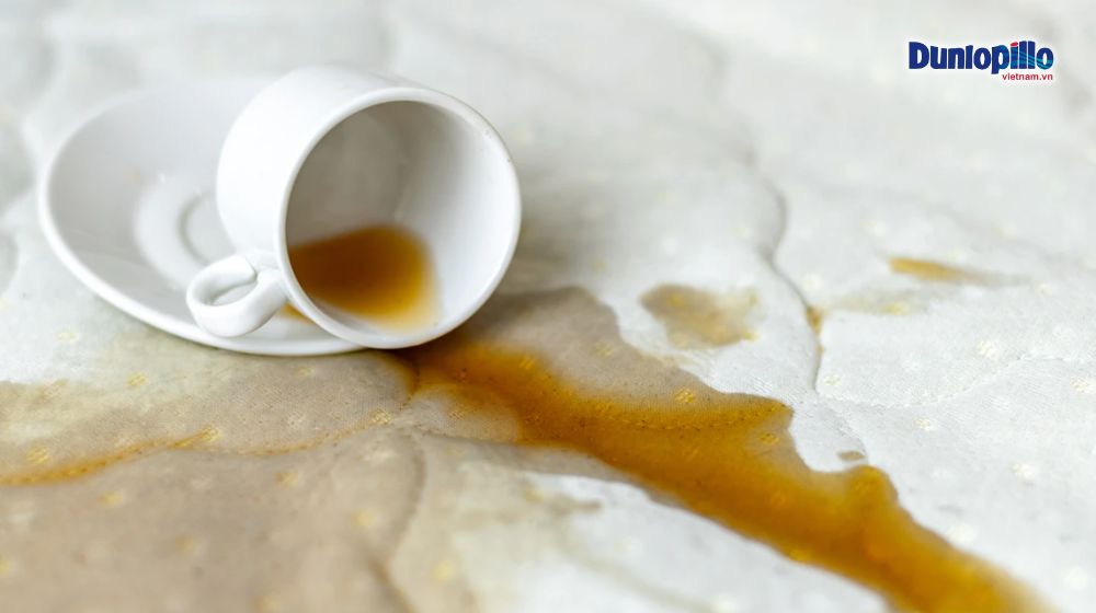 Các sai lầm phổ biến khi vệ sinh nệm và cách tránh 2 Nước để thấm vào nệm sẽ là môi trường để vi khuẩn phát triển