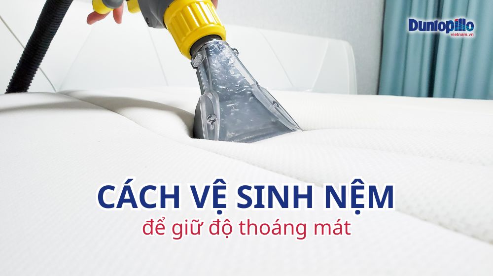 Cách vệ sinh nệm để giữ độ thoáng mát 17 cach ve sinh nem de giu do thoang mat