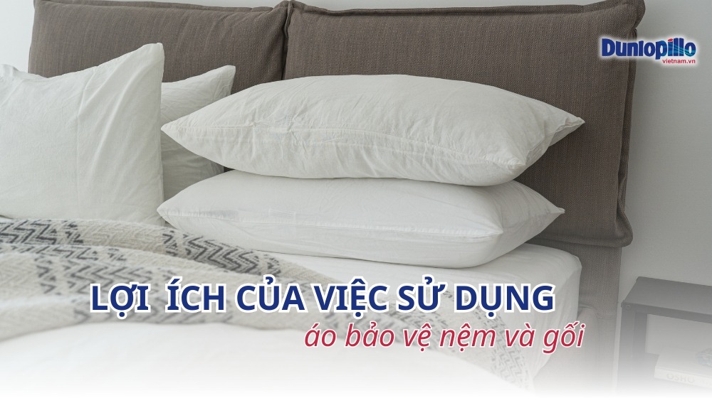 6 Lợi ích của việc sử dụng áo bảo vệ nệm và gối 7 loi ich cua viec su dung ao bao ve nem va goi