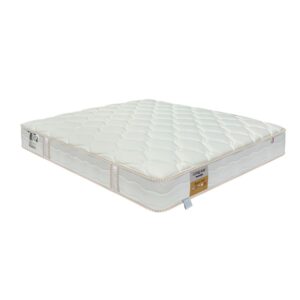 nem lo xo khang chay dunlopillo dream plus 5