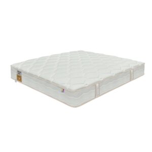 nem lo xo khang chay dunlopillo dream plus 6